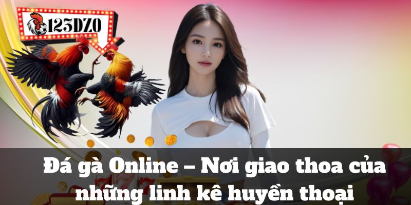 Đá gà Online – Nơi giao thoa của những linh kê huyền thoại