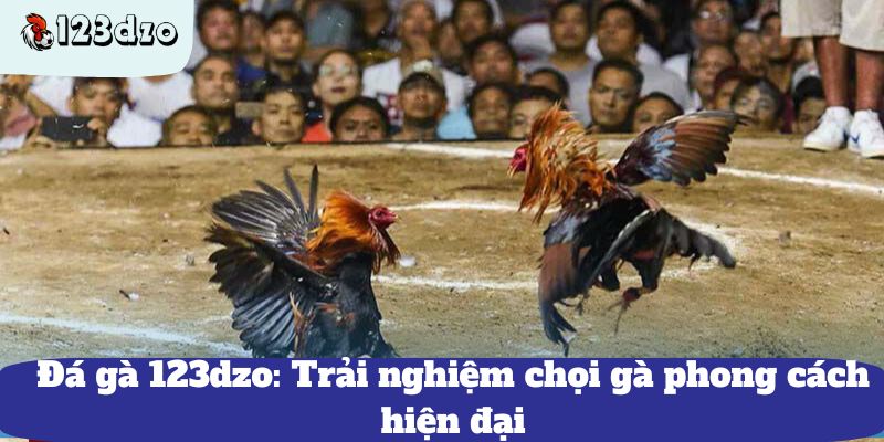 Đá gà 123dzo: Trải nghiệm chọi gà phong cách hiện đại