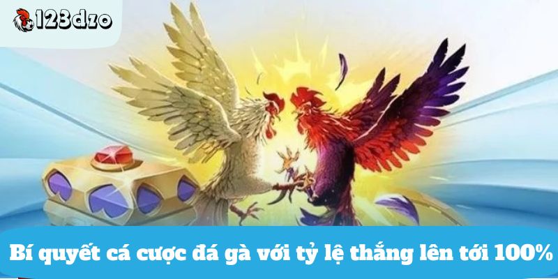 Bí quyết cá cược đá gà với tỷ lệ thắng lên tới 100%