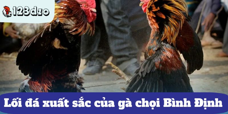 Lối đá xuất sắc của gà chọi Bình Định