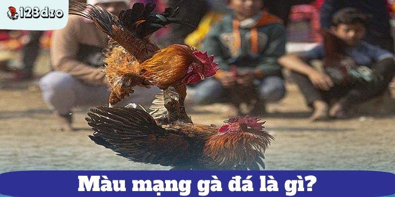 Màu mạng gà đá là gì?